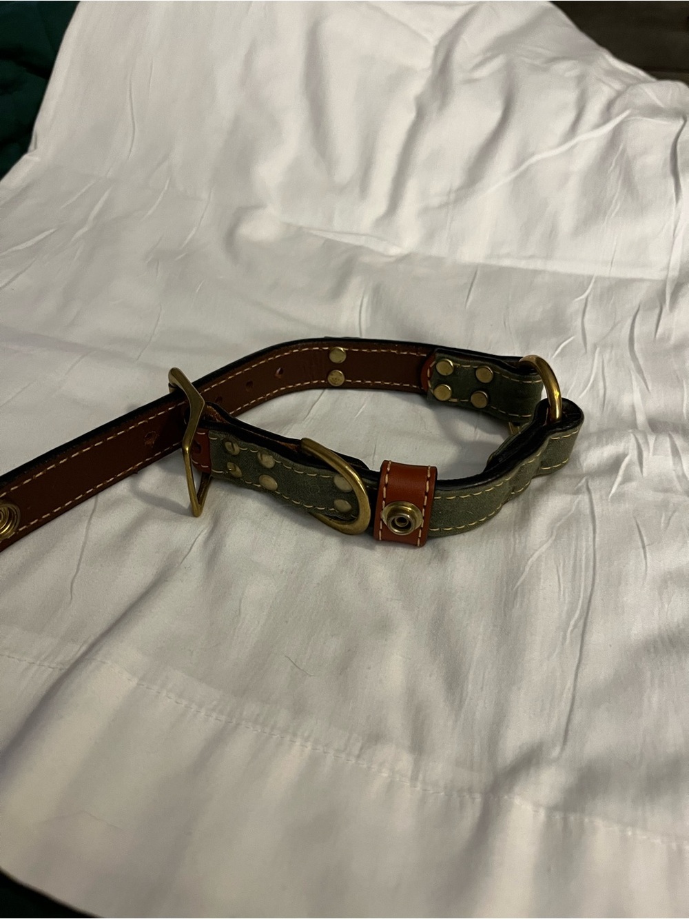 Auburn Brentwood Leather Canvas Brass Dog Collar